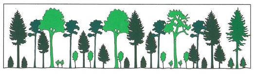 Waldstruktur WET Richtlinie ForstBW